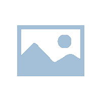 江苏震远保安服务标准